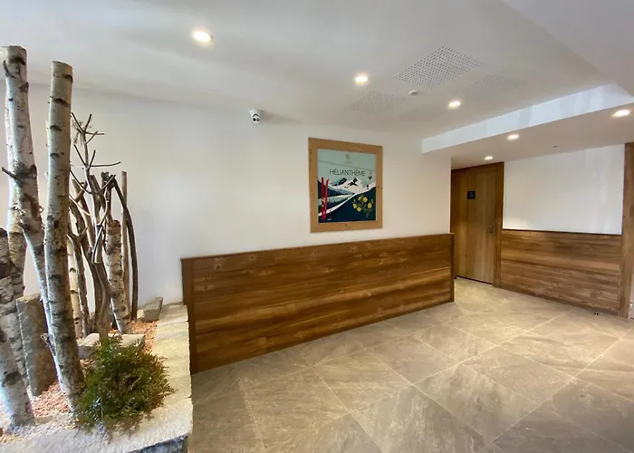 Moderne Proche Des Pistes Avec Parking A - Fr-1-563-140